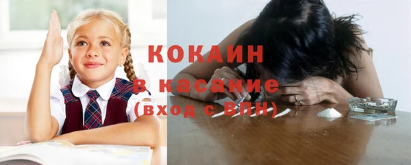 МДПВ Нея