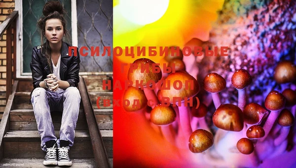 МДПВ Нея