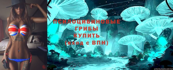 МДПВ Нея