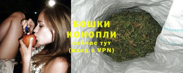 МДПВ Нея