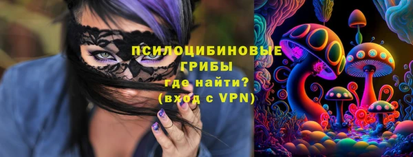 МДПВ Нея
