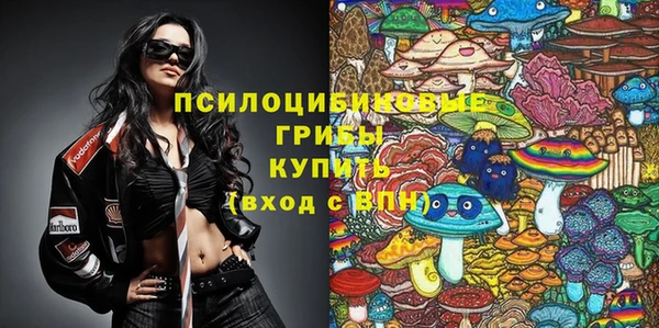 МДПВ Нея