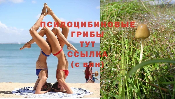 кокс Нефтекумск