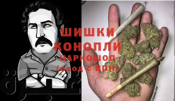МДПВ Нея