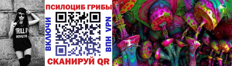 магазин продажи   Усолье  Галлюциногенные грибы Psilocybine cubensis 